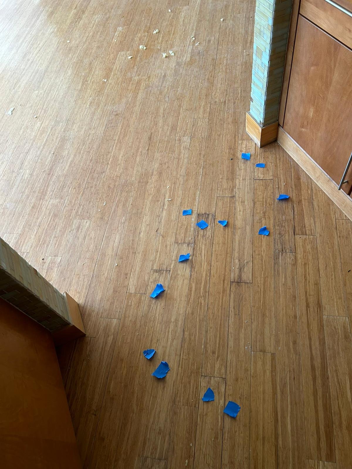 6fb9c93f-0d49-4d13-bae7-5afd076ab9cc