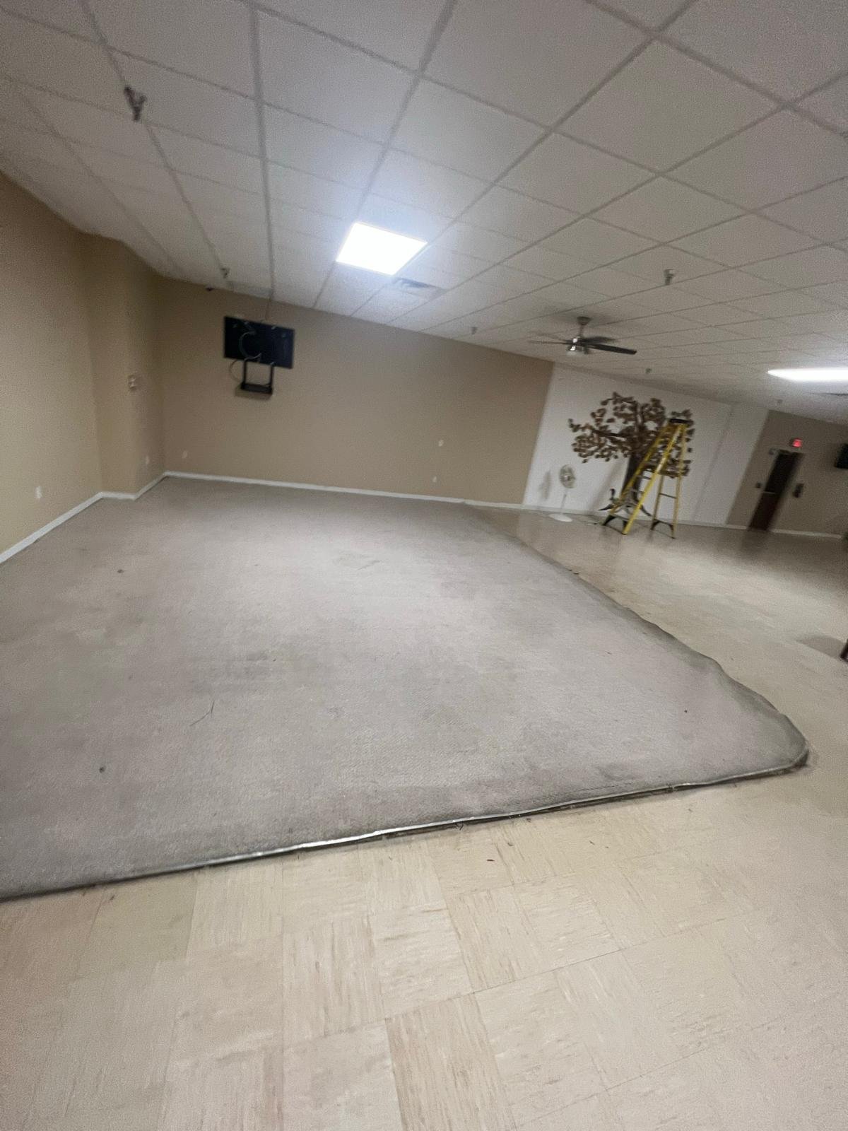 a7fc8440-6b59-4722-b353-00a0cabaa0da