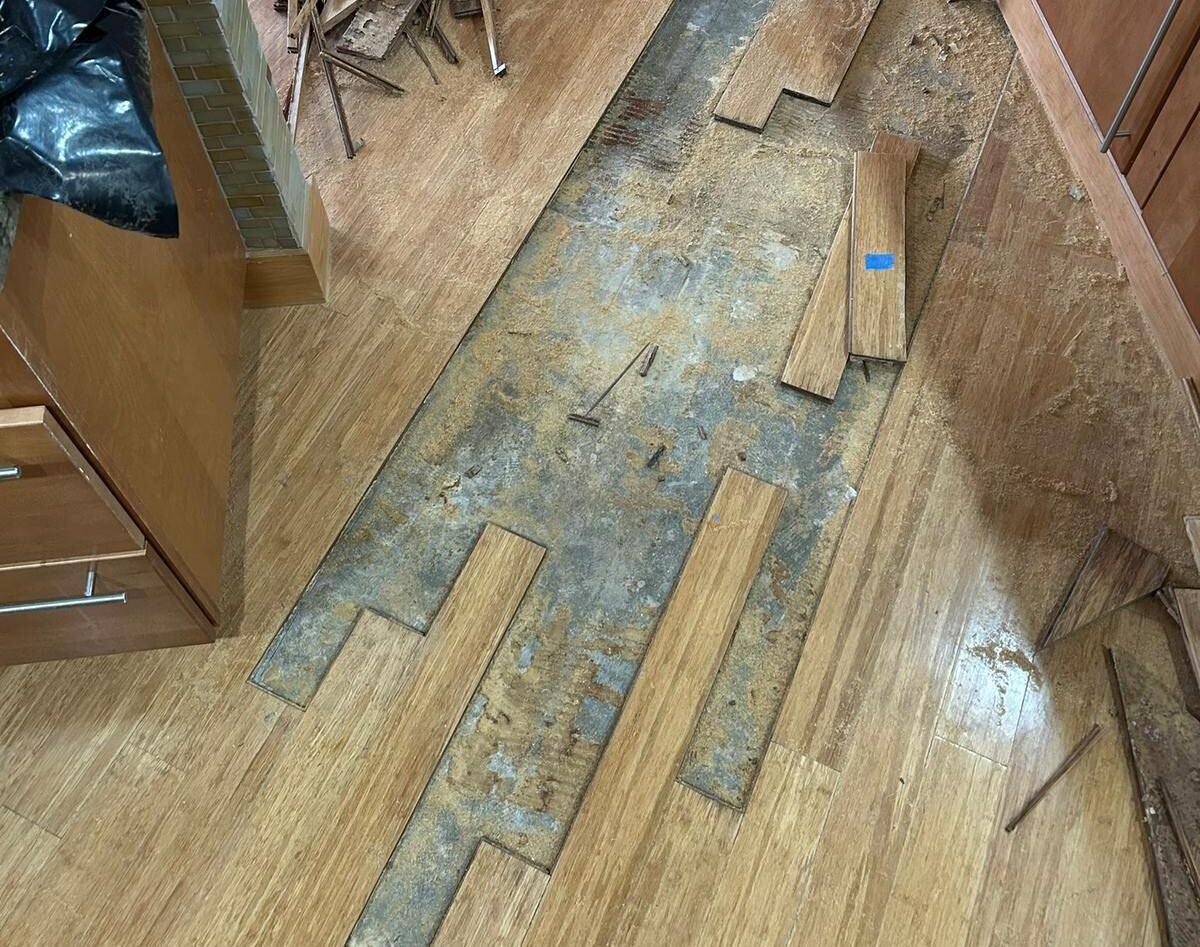 cc4dce0f-1a65-4e63-b242-89c4599636ac